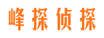 天镇侦探